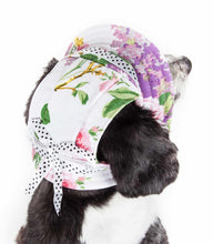 Lade das Bild in den Galerie-Viewer, &#39;Botanic Bark&#39; Floraler UV-Schutz, verstellbare modische Canopy Brimmed Dog Hat Cap
