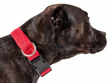 Cargar imagen en el visor de la galería, &#39;Aero Mesh&#39; 360 Degree Dual Sided Comfortable And Breathable Adjustable Mesh Dog Collar
