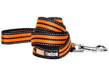 Cargar imagen en el visor de la galería, Freestyle 3-in-1 Explorer Convertible Backpack, Harness and Leash
