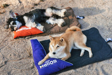 Cargar imagen en el visor de la galería, &#39;Expedition&#39; Sporty Travel Camping Pillow Dog Bed
