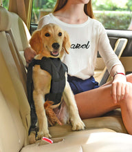 Charger l&#39;image dans la galerie, Harnais de voiture pour chien avec crochet pivotant amovible
