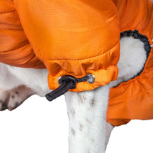 Cargar imagen en el visor de la galería, Thunder-crackle Full-Body Waded-Plush Adjustable and 3M Reflective Dog Jacket
