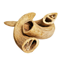 Charger l&#39;image dans la galerie, Water Buffalo Horn Core-Horn Inner Part-100% Natural;  High Protein;  Long-Lasting;  Grain-Free;  Gluten-Free;  Low-Fat;  Dog Dental Treats &amp; Chews-2 COUNT-10 oz
