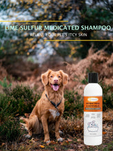 Cargar imagen en el visor de la galería, Lime Sulfur Pet Shampoo - Pet Care and Veterinary Solution for Itchy and Dry Skin - Safe for Dog;  Cat;  Puppy;  Kitten;  Horse

