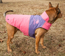 Load image into Gallery viewer, Lightening-Shield Waterproof 2-in-1 Convertible Dog Jacket w/ Blackshark technology
