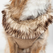 Lade das Bild in den Galerie-Viewer, 2-in-1 Mesh Reversed verstellbare Hundegeschirr-Leine mit abnehmbarem Pelzkragen
