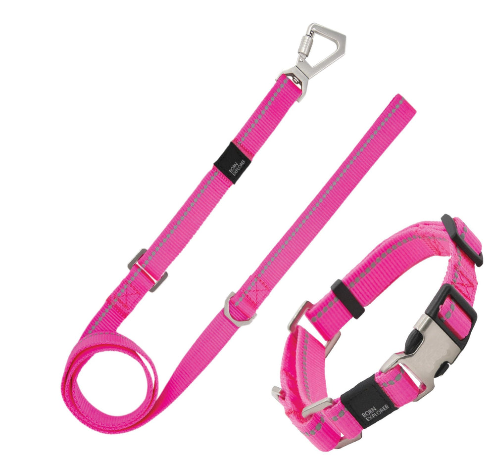 'Advent' Outdoor Series 3M Reflective 2-in-1 Durable Martingale Training Dog Leash and Collar