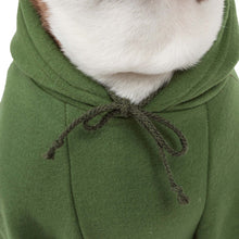 Load image into Gallery viewer, Fashion Plush Cotton Pet Hoodie Hooded Sweater
