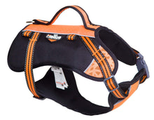 Carica l&#39;immagine nel visualizzatore di Gallery, Freestyle 3-in-1 Explorer Convertible Backpack, Harness and Leash
