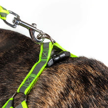 Cargar imagen en el visor de la galería, Reflective Stitched Easy Tension Adjustable 2-in-1 Dog Leash and Harness
