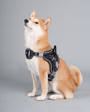 Carica l&#39;immagine nel visualizzatore di Gallery, &#39;Scorpion&#39; Sporty High-Performance Free-Range Dog Harness
