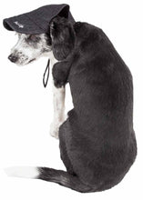 Cargar imagen en el visor de la galería, &#39;Cap-Tivating&#39; Uv Protectant Adjustable Fashion Dog Hat Cap

