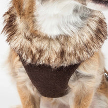 Lade das Bild in den Galerie-Viewer, 2-in-1 Mesh Reversed verstellbare Hundegeschirr-Leine mit abnehmbarem Pelzkragen
