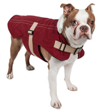 Carica l&#39;immagine nel visualizzatore di Gallery, Original Sherpa-Bark Designer Fashion-Forward Dog Coat
