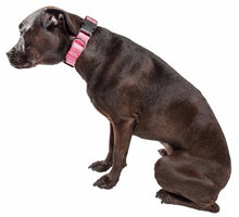 Lade das Bild in den Galerie-Viewer, &#39;Aero Mesh&#39; 360 Grad doppelseitiges, komfortables und atmungsaktives, verstellbares Mesh-Hundehalsband
