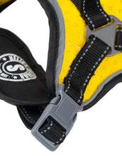 Load image into Gallery viewer, &#39;Scorpion&#39; Sporty High-Performance Free-Range Dog Harness
