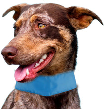 Cargar imagen en el visor de la galería, Pet Life Summer-Cooling&#39; Insert Able And Adjustable Cooling Ice Pack Dog Neck Wrap
